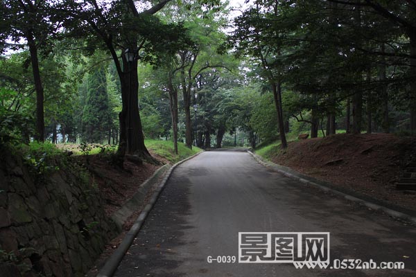 青岛中山公园丛林公路
