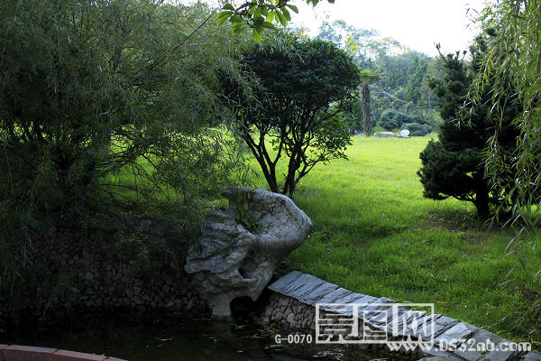 青岛植物园景观3图片