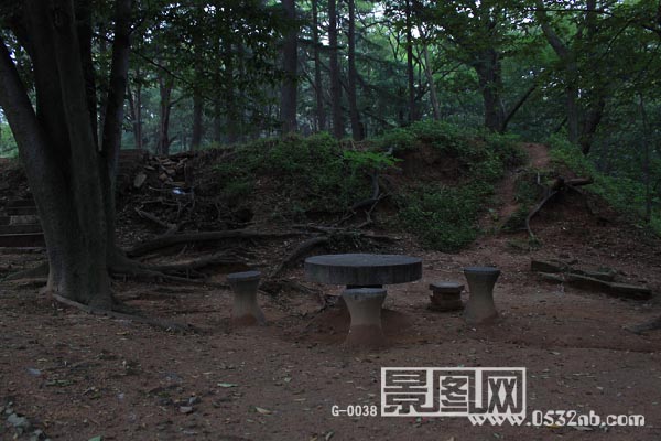 青岛中山公园丛林石凳