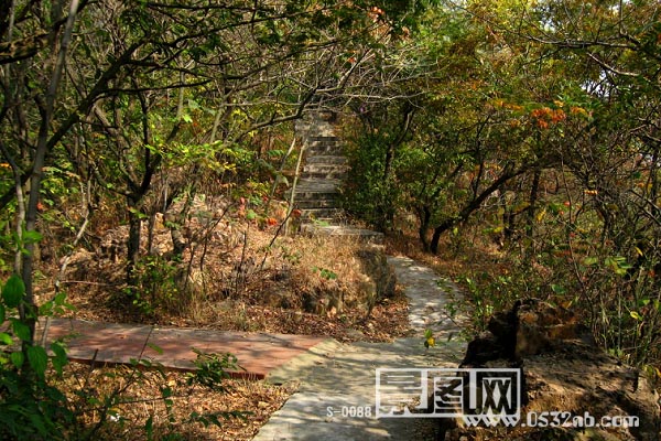 青岛山炮台通往铁塔曲径小路