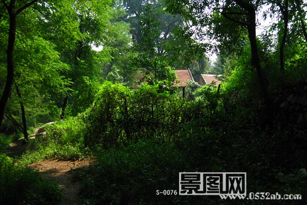 青岛荒草庵风景-后院2