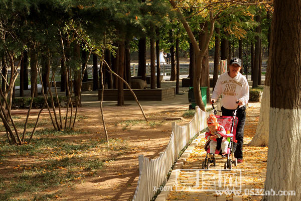 青岛八大关路边丛林公园2