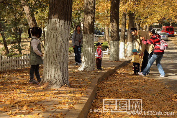 青岛八大关路边丛林公园4