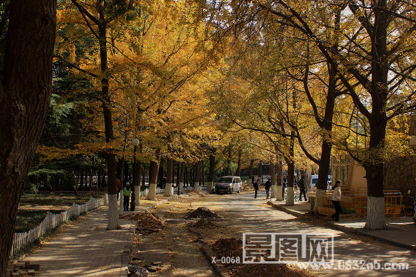 青岛八大关居庸关路