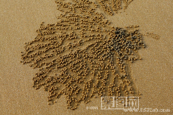 青岛阿波海之情个人摄影作品-求婚